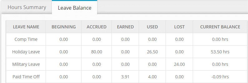 Leave Balance Information